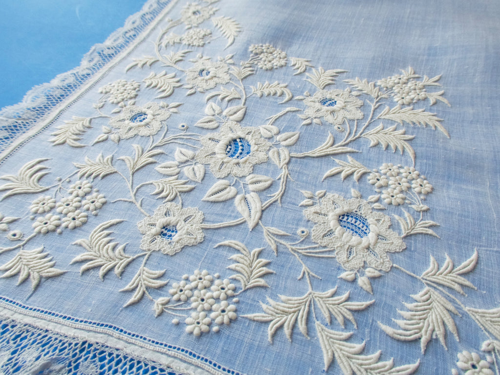 Embroidered Blue Lace